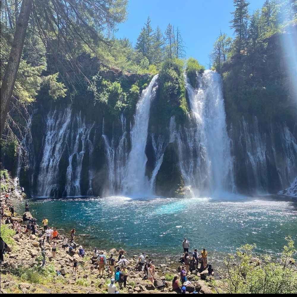 Meet your Posher, Elisa